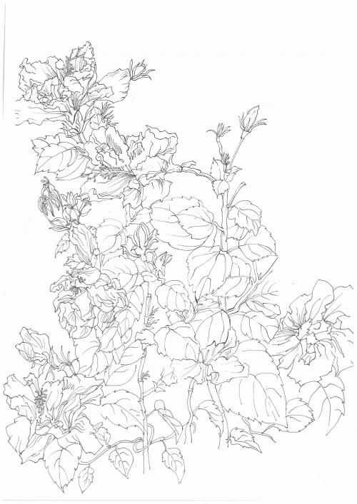 制作仿真渣打银行转账小票